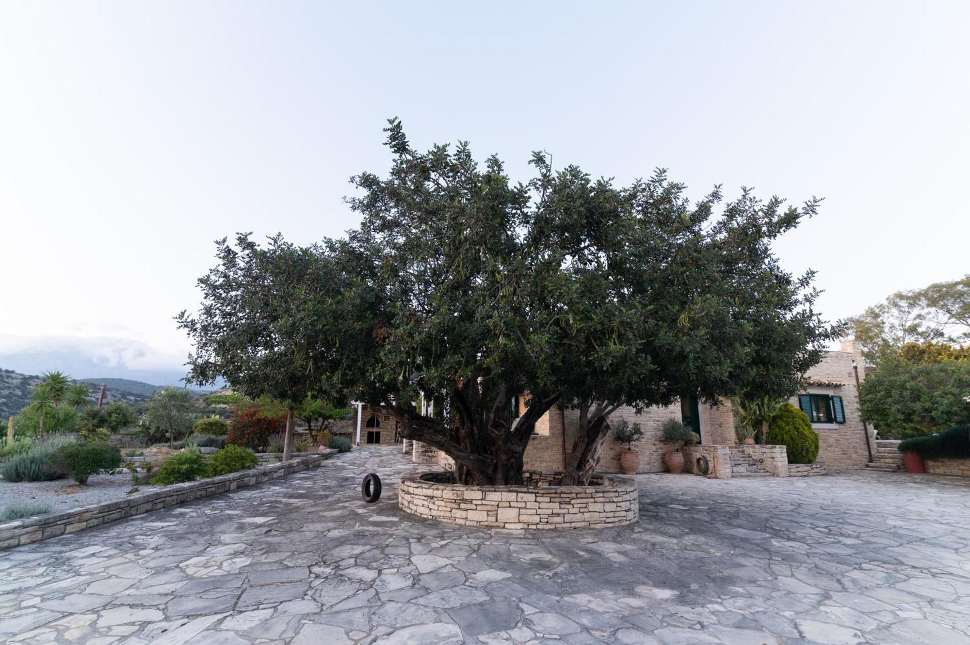 Carob Villa Moírai 外观 照片